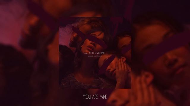 Never Get Used To People - And We'll Never Part (Lyrics Video) смотреть онлайн