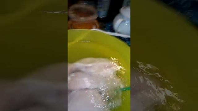 Испытание озонатора часть 1 смотреть онлайн
