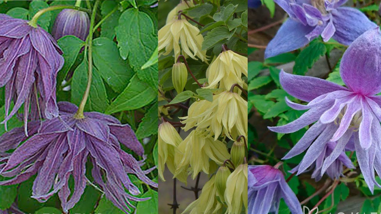 Супер Посылка с княжиками из Опт-хоз смотреть онлайн