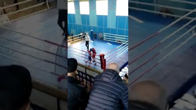 БОКС ПРОКОПЬЕВСК ,,я в красном" смотреть онлайн