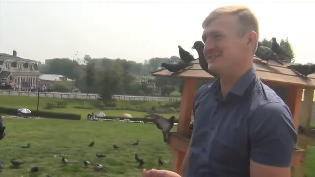 Девушка кормит голубей. смотреть онлайн