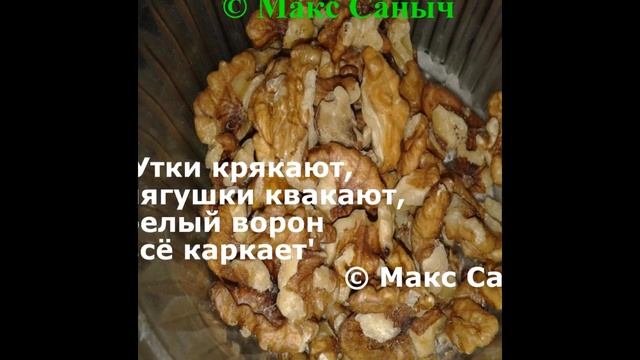 'Утки крякают, лягушки квакают, белый ворон всё каркает' (WARXUL Афоризмы Анекдот Цитаты) смотреть онлайн