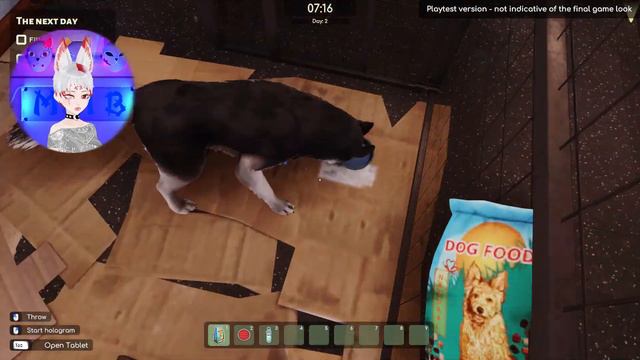 Лучший приют для животных  ► Animal Shelter 2 первый взгляд