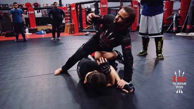 MMA, Takedown, Ground And Pound  ММА проход в ноги и добивание