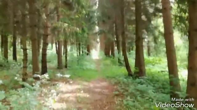 Три горы/ Псковская область/ перезалив смотреть онлайн