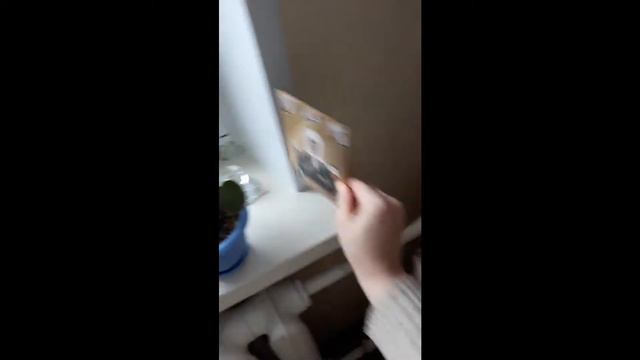 Полив цветов,готовлю на ужин фрикадельки