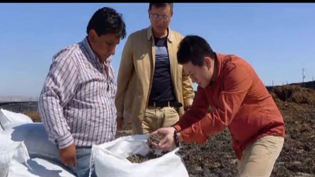 The Making of Sodium Alginate and Its Surprising Uses, Alginic Acid смотреть онлайн