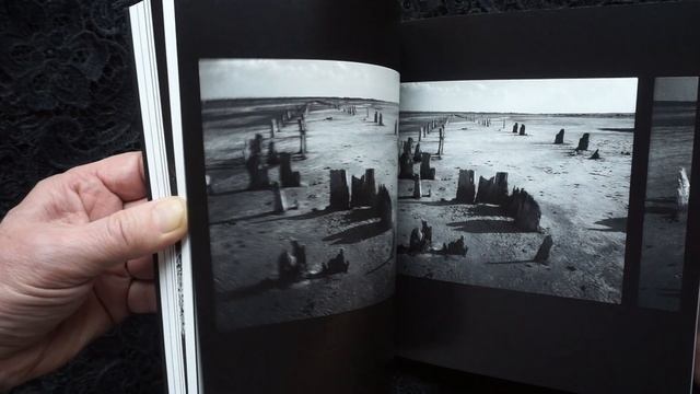 Книга по натюрморту смотреть онлайн