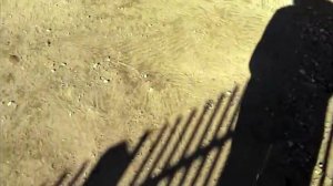 Как устроить посадку собаки на цепь у ворот