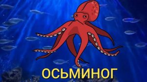 Морские обитатели для детей. Животные морей и океанов. Карточки Домана. Развивающее видео.