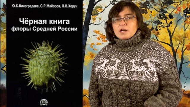 Клен ясенелистный и его сорта. смотреть онлайн