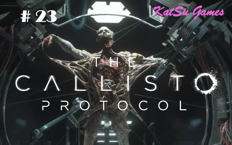 НУ ВОТ И ФИНАЛ!!! CALLISRO PROTOCOL # 23