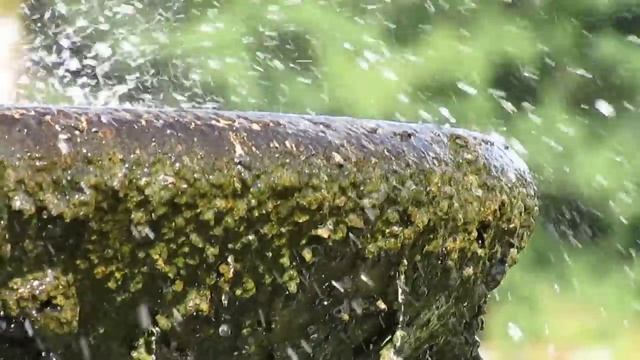 Canon Powershot SX500 IS Sample Video смотреть онлайн