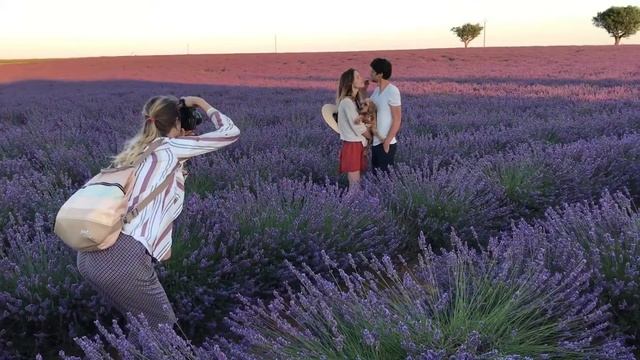 Фотосессия в Провансе. Photoshoot in Provence. Лавандовые поля смотреть онлайн