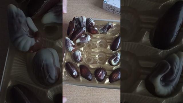 Бельгийские конфеты в форме РАКУШЕК смотреть онлайн