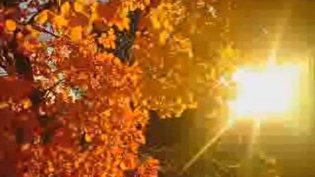 6 Урок для всей семьи по Таухиду. Обучение Исламу. Таухид - основа всего!