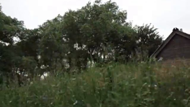 MOV01556 смотреть онлайн