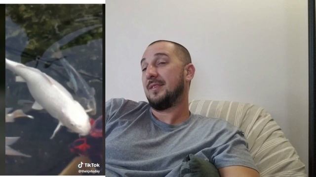 I React to Outdoor **TikTok** Videos смотреть онлайн