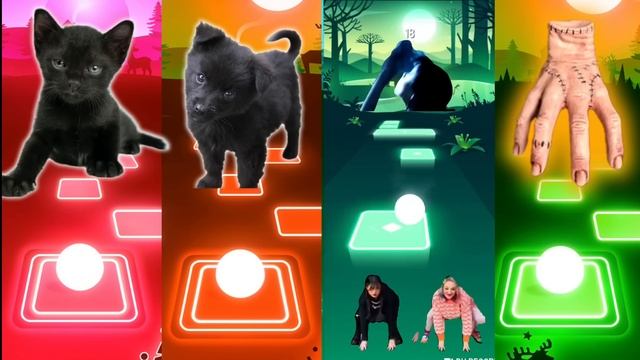 CUTE CAT VS CUTE DOG VS WEDNESDAY VS THING #wednesdaydance Wednesday Addams