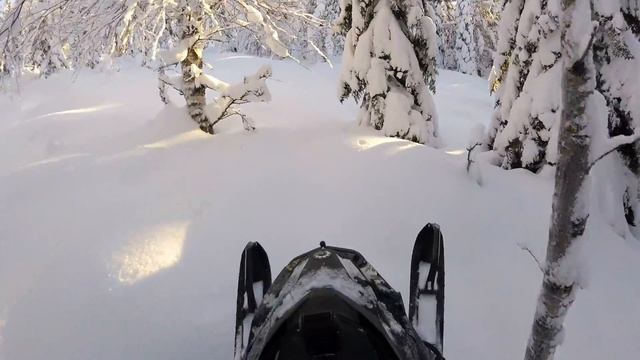 Tree Riding Sweden | Boondocker 850 3900 ds | Backcountry смотреть онлайн