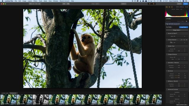 Luminar flex 2 смотреть онлайн