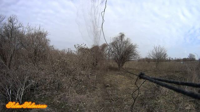 Ловля певчих птиц - Новое место, Овсянка, Коноплянка, Зеленушка, Лазоревка. смотреть онлайн