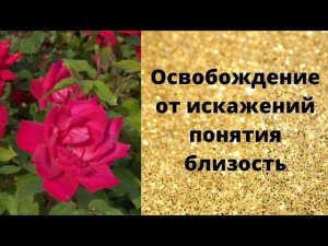 Освобождение от искажений понятия близость