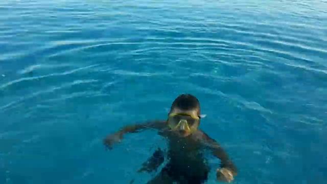 Reef Oasis Blue Bay Resort 5* бассейн инфинити, горизонт моря.. смотреть онлайн