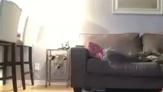 ЧИХНУЛ.......))))) смотреть онлайн