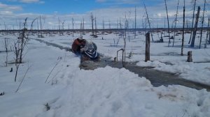 Cнегоход буран по воде