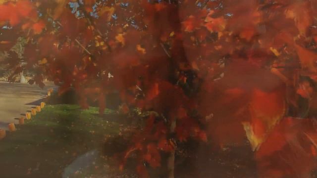 ✦ Осенний Ре-диез ✦ ♔ KORG S ♔ Sergey K ✦ Modern Beat ✦ (Korg Pa900) ✦ смотреть онлайн