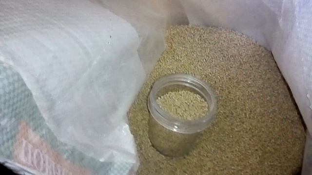 Влог . Едем за кормами. Досажуем картошку .корми для суточных перепелов