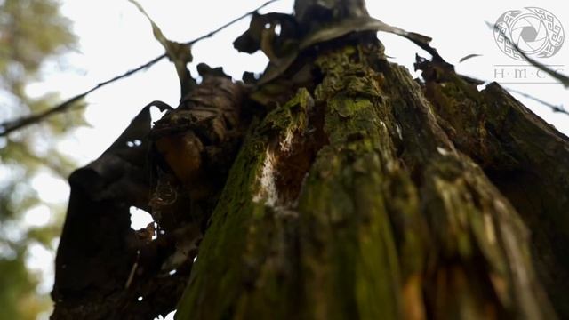 Недельный интенсив. Май 2021 года.