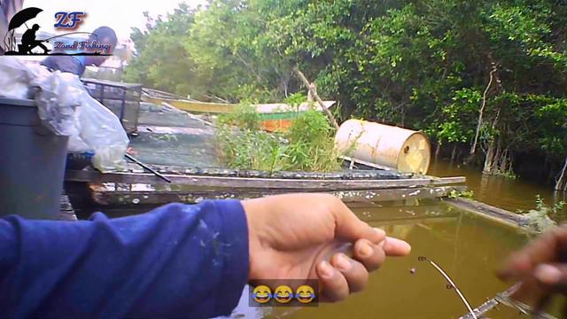 Mancing Ikan Lais Umpan Jangkrik Di Kalimantan Part 2‼️ - zand fishing смотреть онлайн