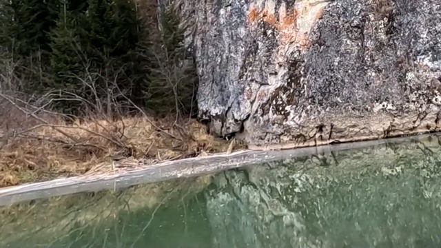 Осенняя рыбалка на лесной речке.часть2 смотреть онлайн