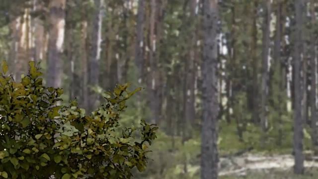 «Берегите лес от пожара» Мультфильм смотреть онлайн