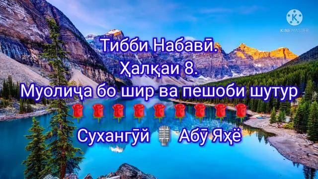 8/ ТИБИ НАБАВИ ШИРИ ШУТУР ШИФО АСТ смотреть онлайн