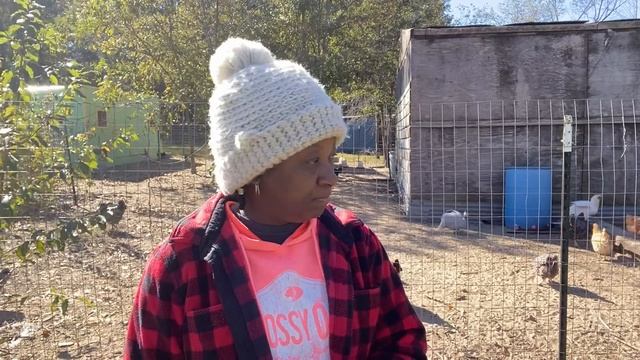 Why You May Never Get The Chicken Breeds You Want смотреть онлайн