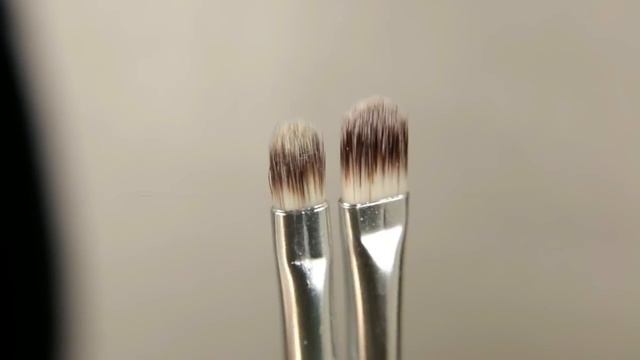 NEW SHOP MISS A 24 Piece Brush Set Review & Demo!