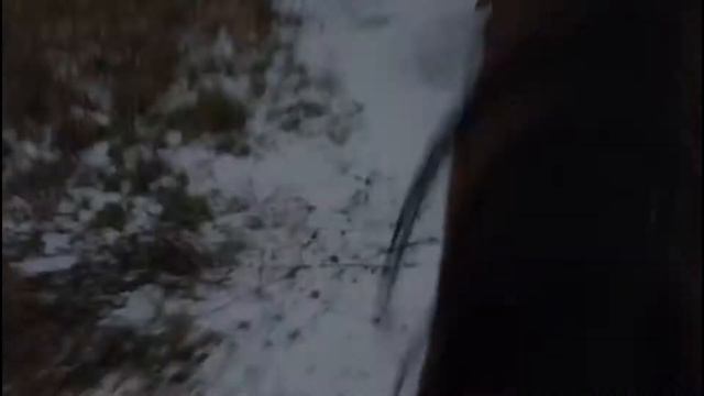 Арсланбек Султанбеков - Тулпар кайдан табарсин смотреть онлайн