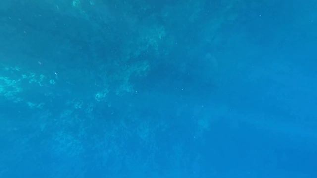 The Grand hotel Sharm el Sheikh смотреть онлайн