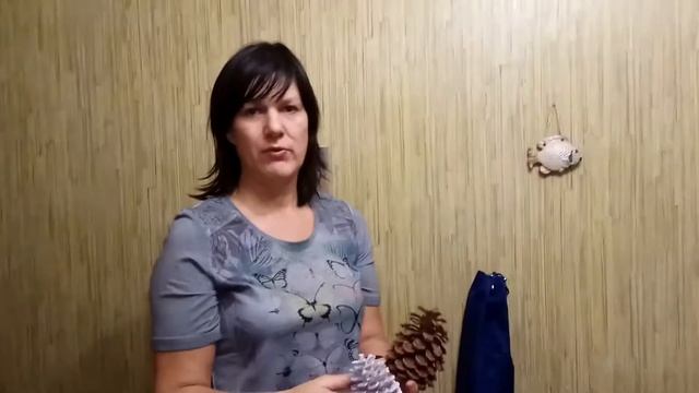 Что подарить на Новый год - варианты подарков из магазина и сада смотреть онлайн