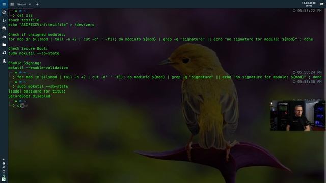 Linux Malware and Securing Your System смотреть онлайн