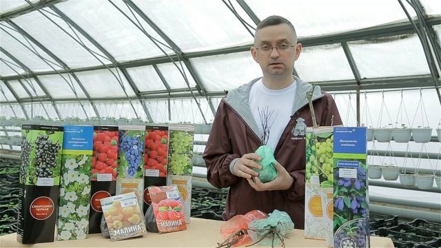 Как выглядят здоровые растения в упаковке смотреть онлайн