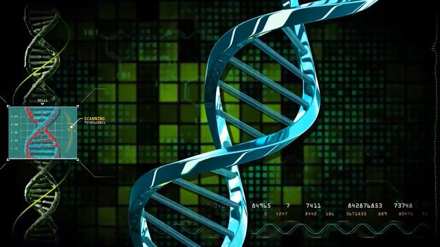 Что, если бы люди жили 1000 лет? смотреть онлайн