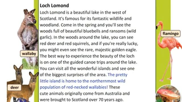 Excel 8 Module 6 Nature Reserves around the World text p 71 смотреть онлайн