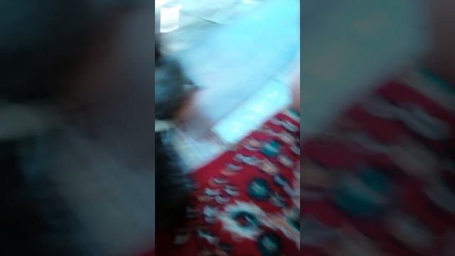 Кому нужен котенок смотреть онлайн