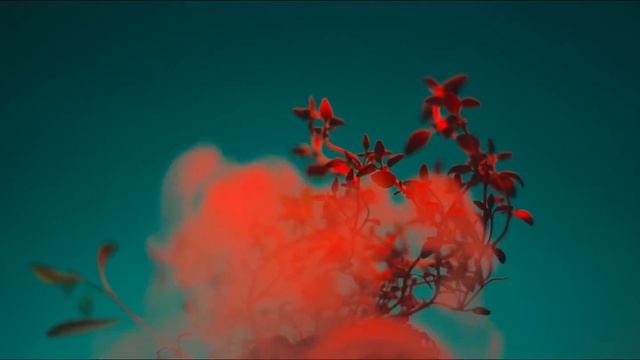 Dranq x Pixelord - Поиск смотреть онлайн