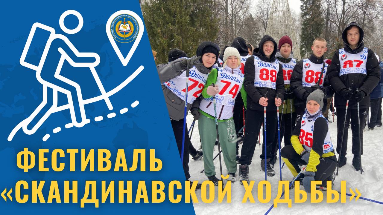 Фестиваль "Скандинавской ходьбы" смотреть онлайн