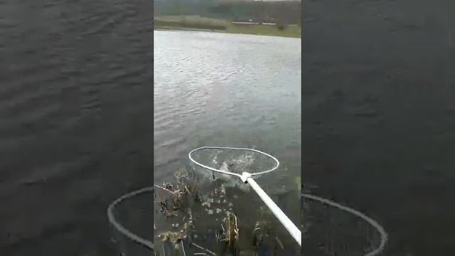 Донич(Оргеевский район) смотреть онлайн